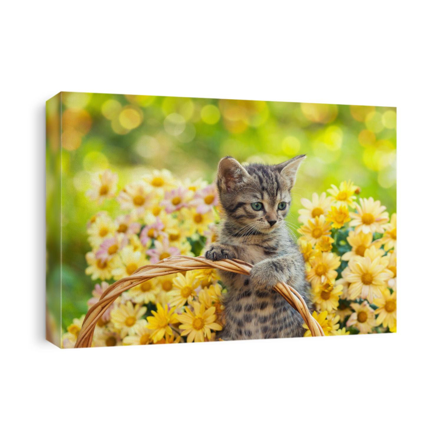 Little kitten in the garden with flowers on background