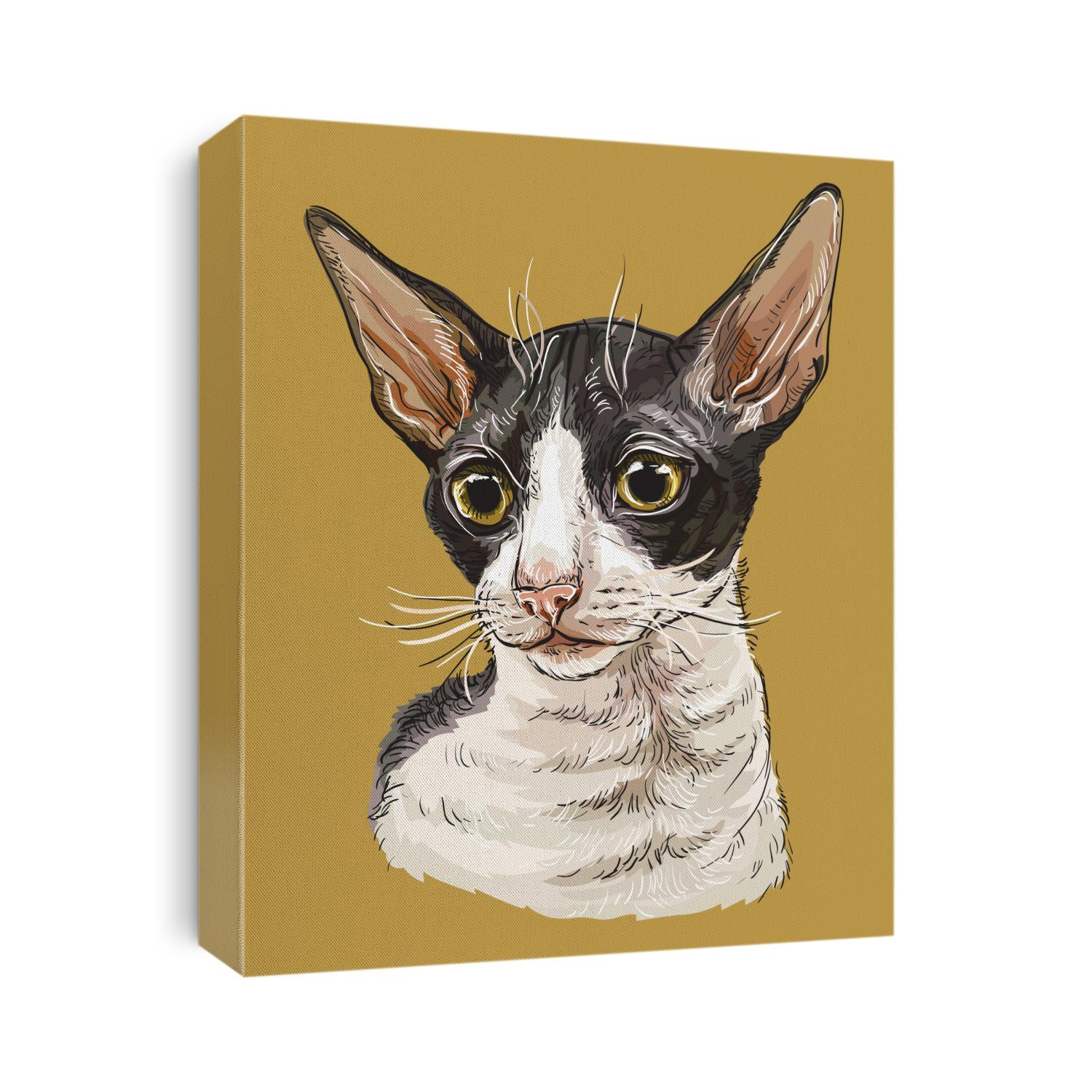 Colorful vector hand drawing portrait of Cornish Rex cat isolated on beige background. Colorful realistic portrait of cat. Vector illustration of cat. Image for design, cards. Stock  illustration 