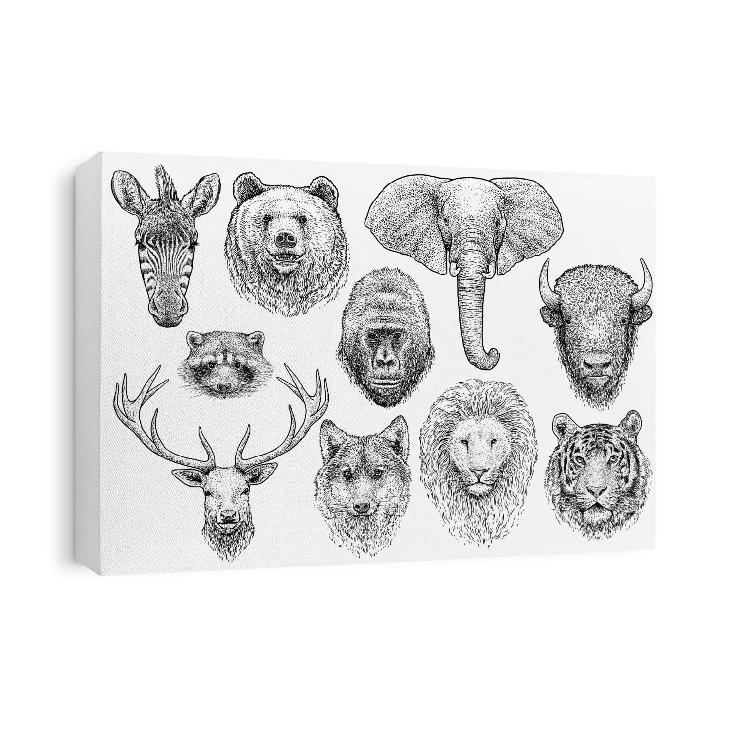 Animal head collection illustration, drawing, engraving, ink, line art, vector