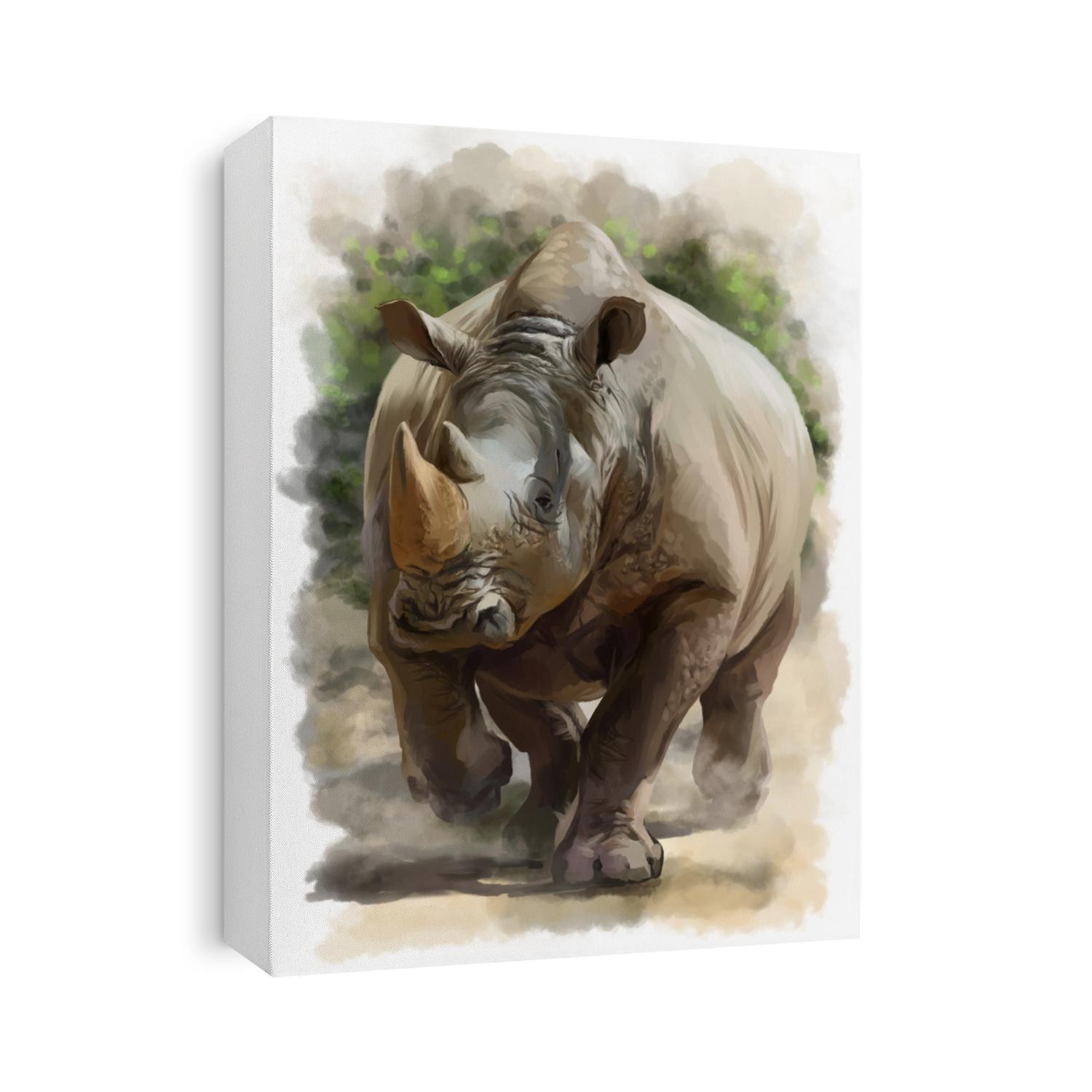 Running Rhino