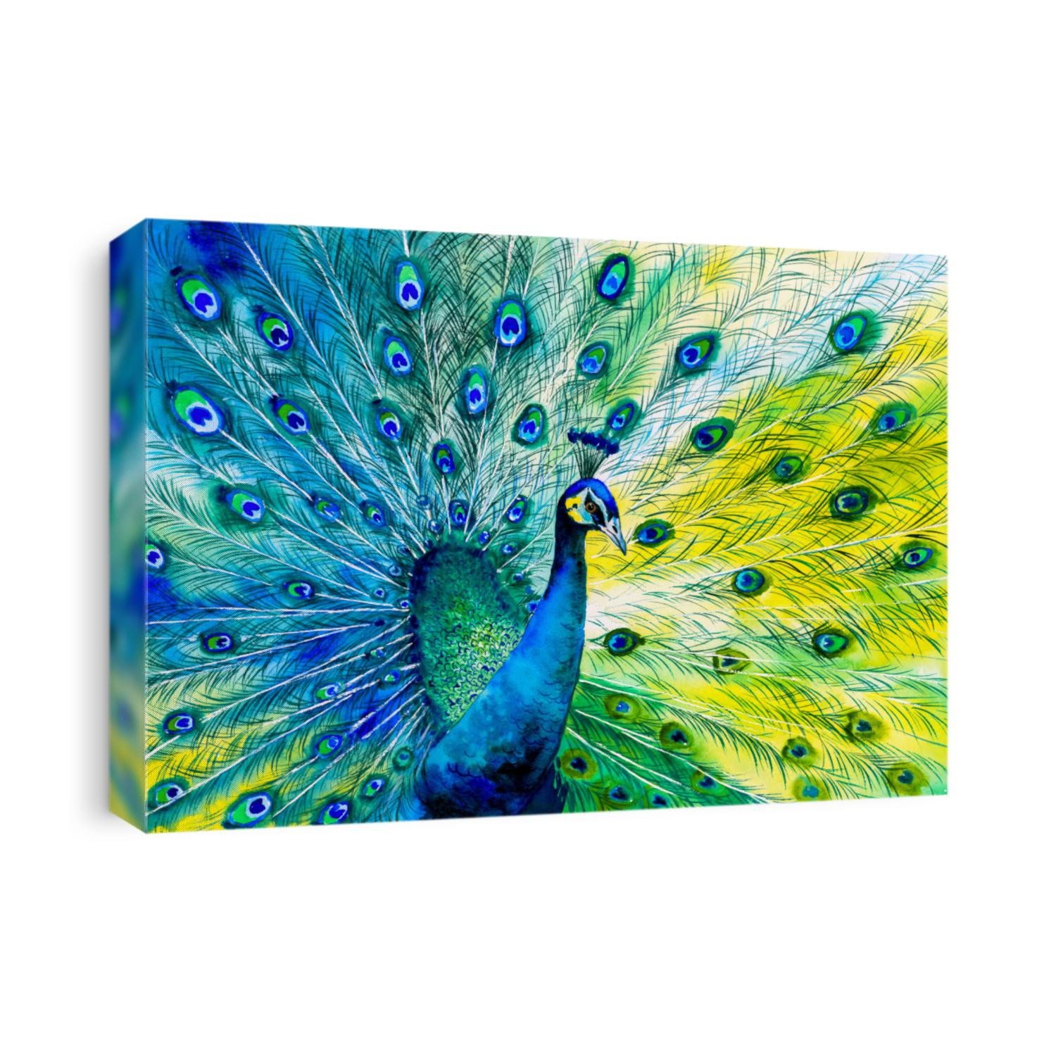 Watercolor Painting - Colorful peacock tail feathers