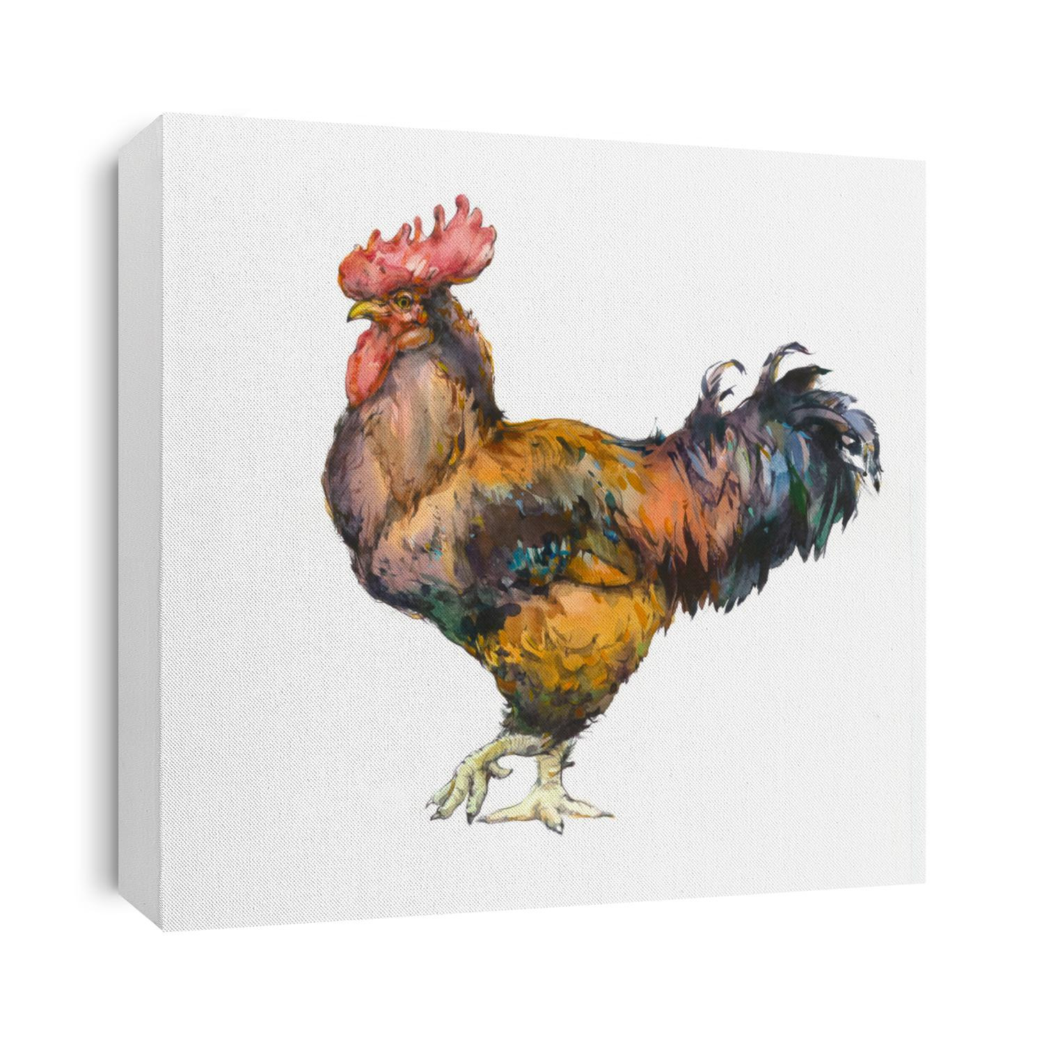 Watercolor Illustration of the cock. Rooster colorful grunge label. Sticker image for the farms and manufacturing depicting roster. Grunge label for chicken product.