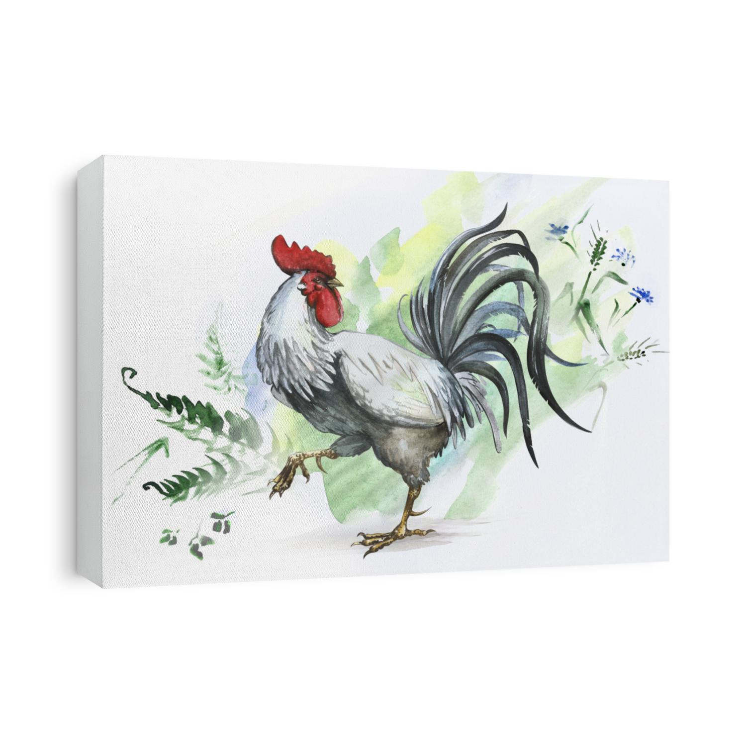 White cock in watercolor technique on a light herbal background. Beautiful rooster