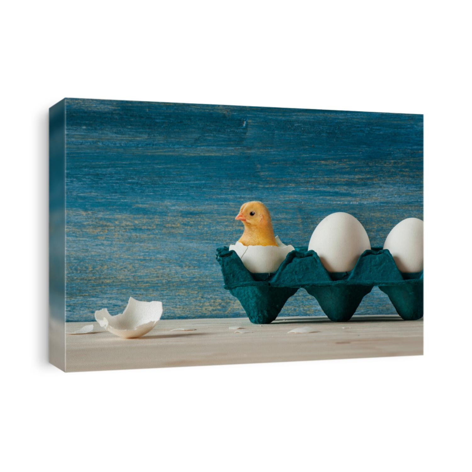 Small yellow chicken hatching from the easter egg on blue vintage background in the navy blue eggs holder 