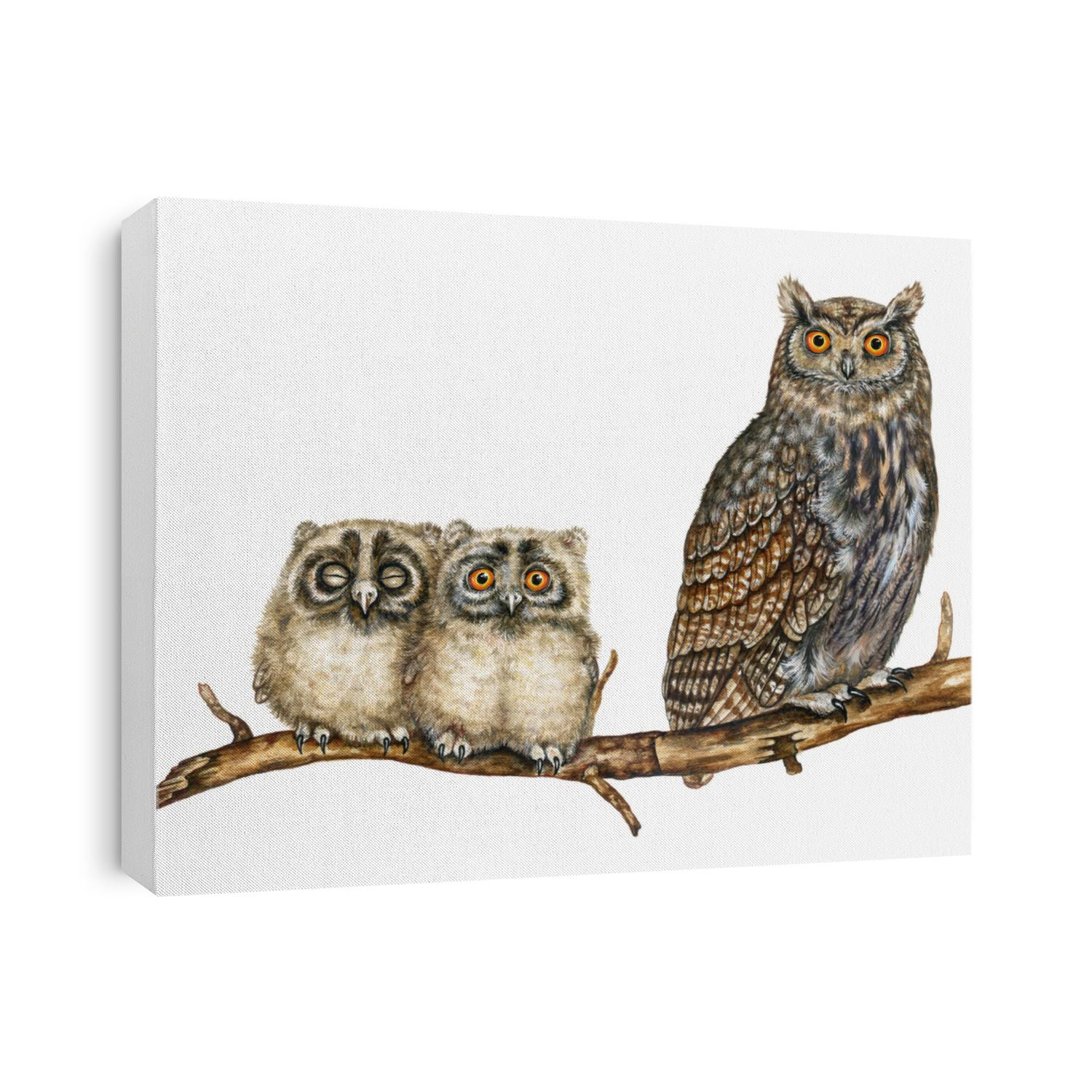 realistic illustration of owl (bubo bubo) with two chicks
