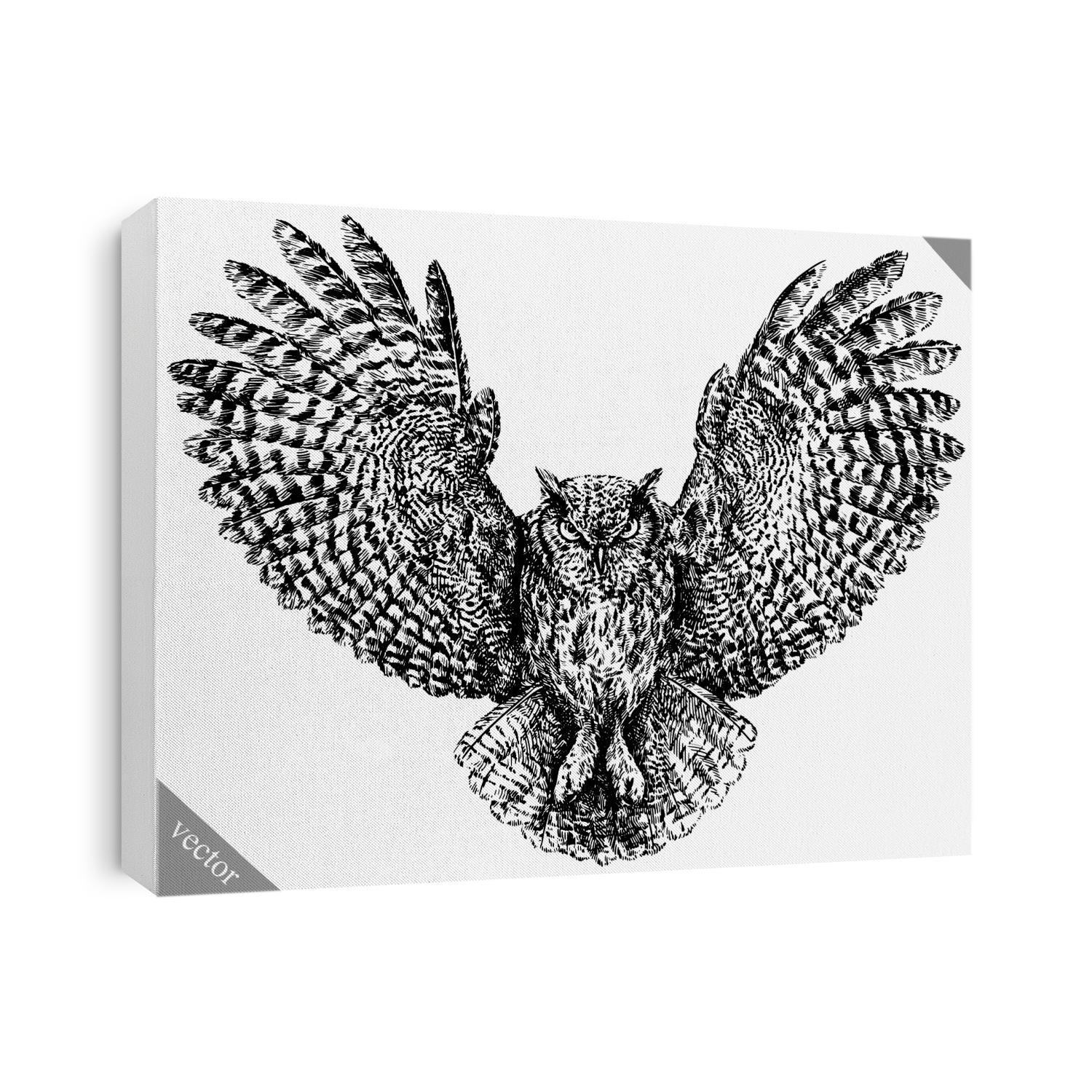 black and white engrave isolated owl vector illustration