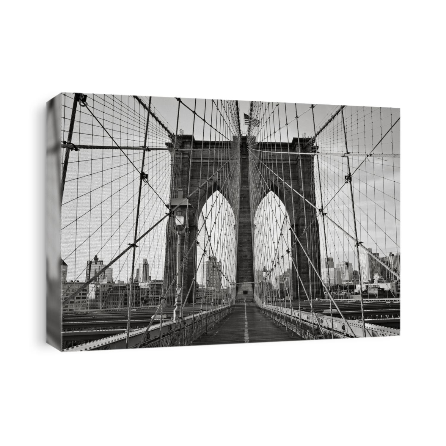 Standing of the Brooklyn Bridge