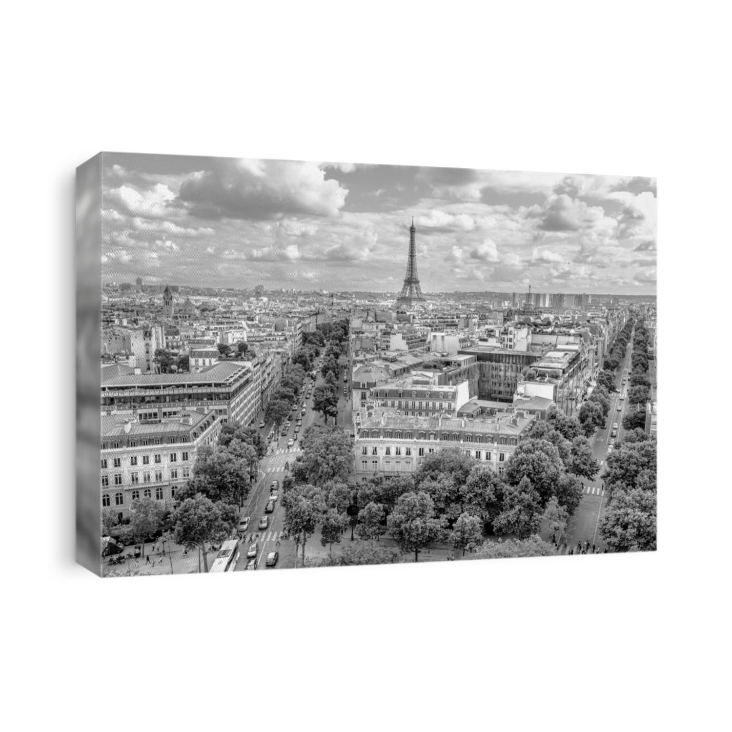 Arch of Triumph panorama on black and white color. Trees streets like Avenues Marceau, d'Iena and Kleber in Paris, France, Europe. Distant view of Tour Eiffel tower in Paris cloudy skyline.