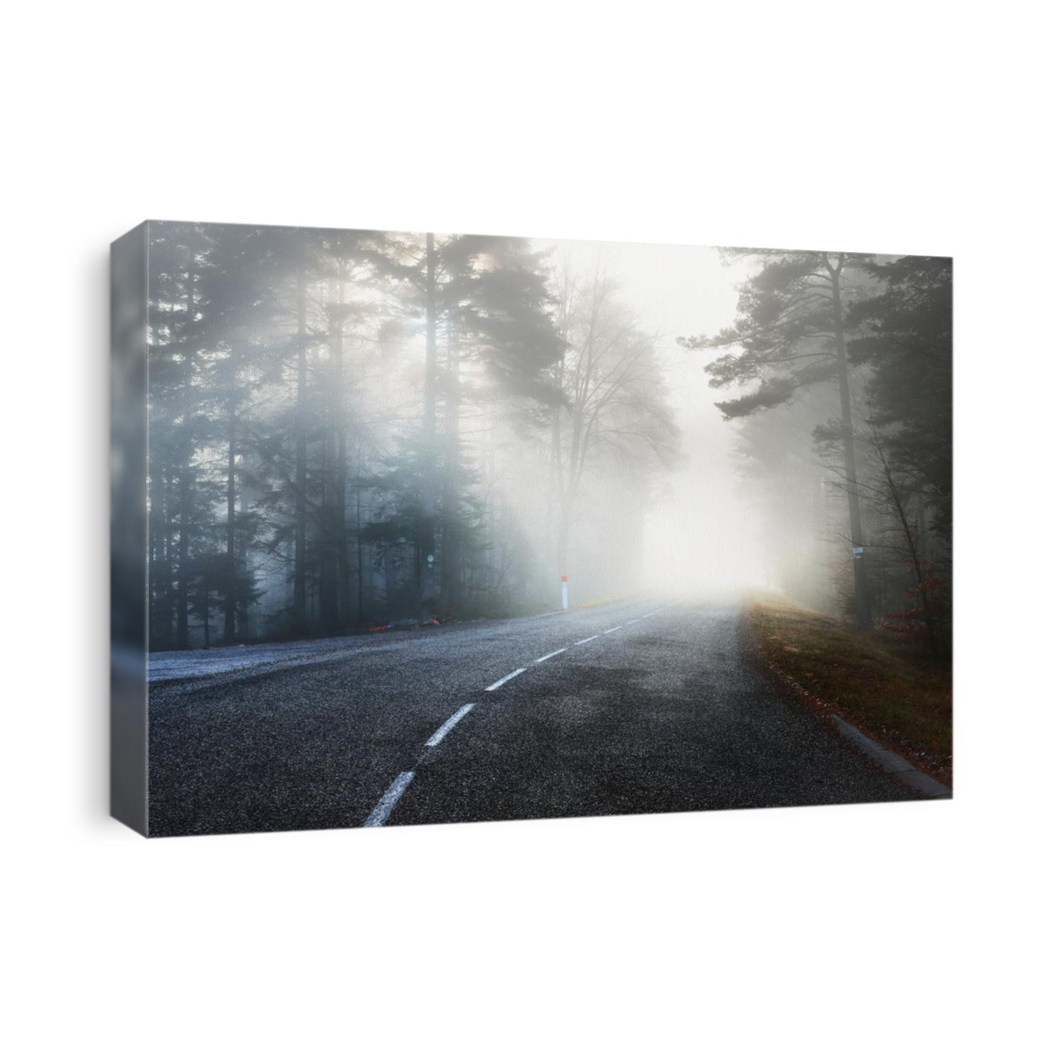 Asphalt road (highway) through the evergreen pine forest in a white fog. French Alsace, France. Atmospheric autumn landscape. Travel destinations, vacations, freedom, ecotourism, pure nature