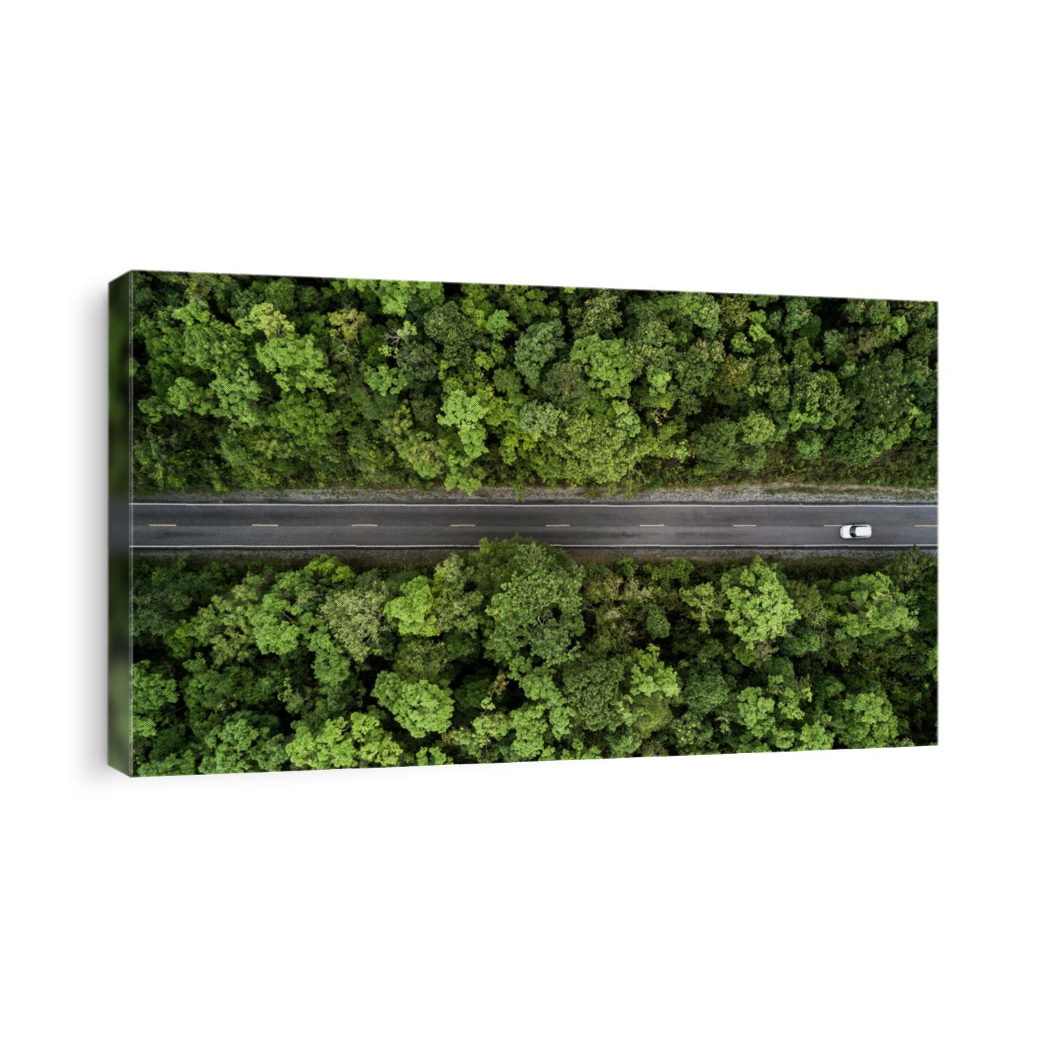 Aerial view road going through forest, Road through the green forest, Aerial top view car in forest, Texture of forest view from above, Ecosystem and healthy environment concepts and background.