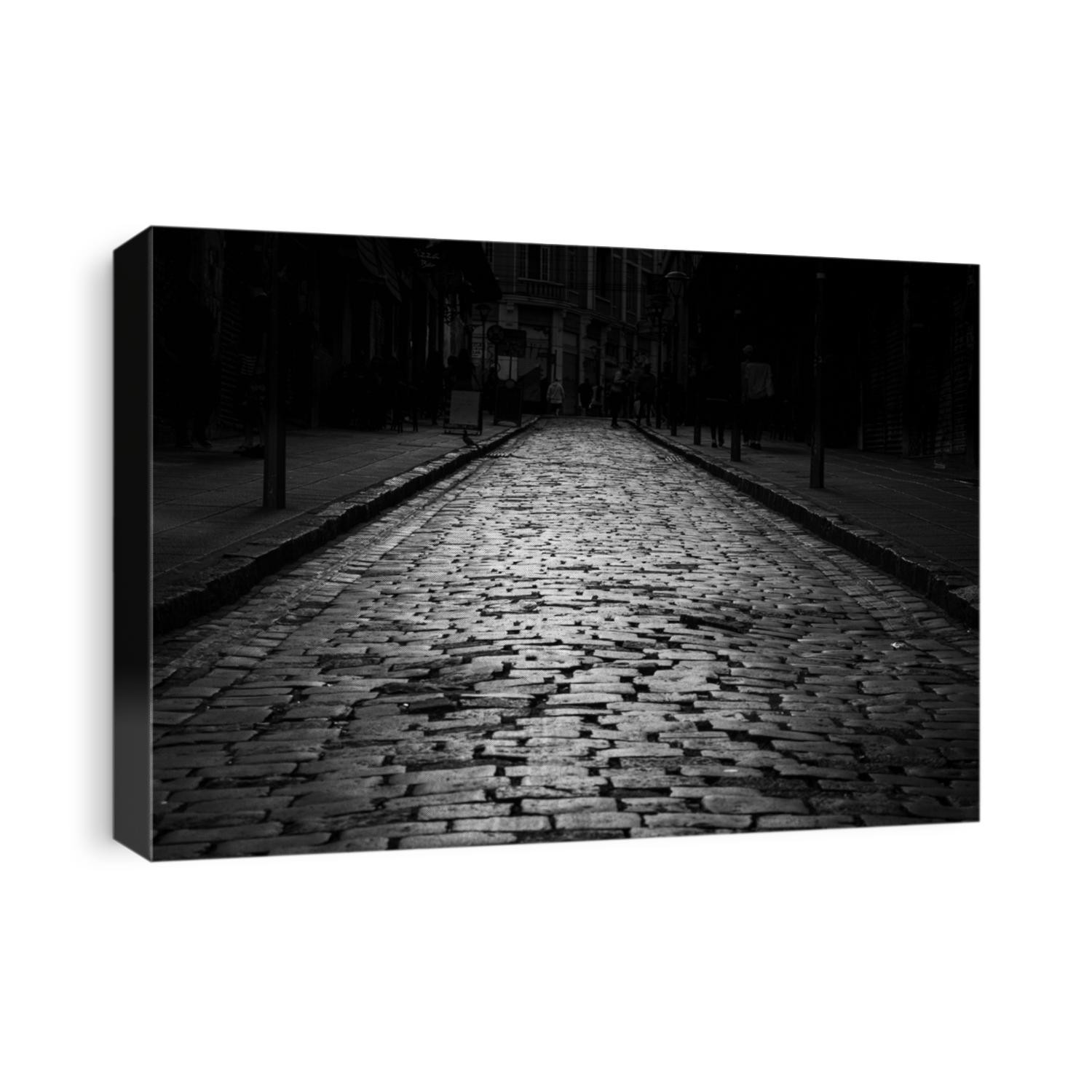 street with cobblestone pattern in black and white