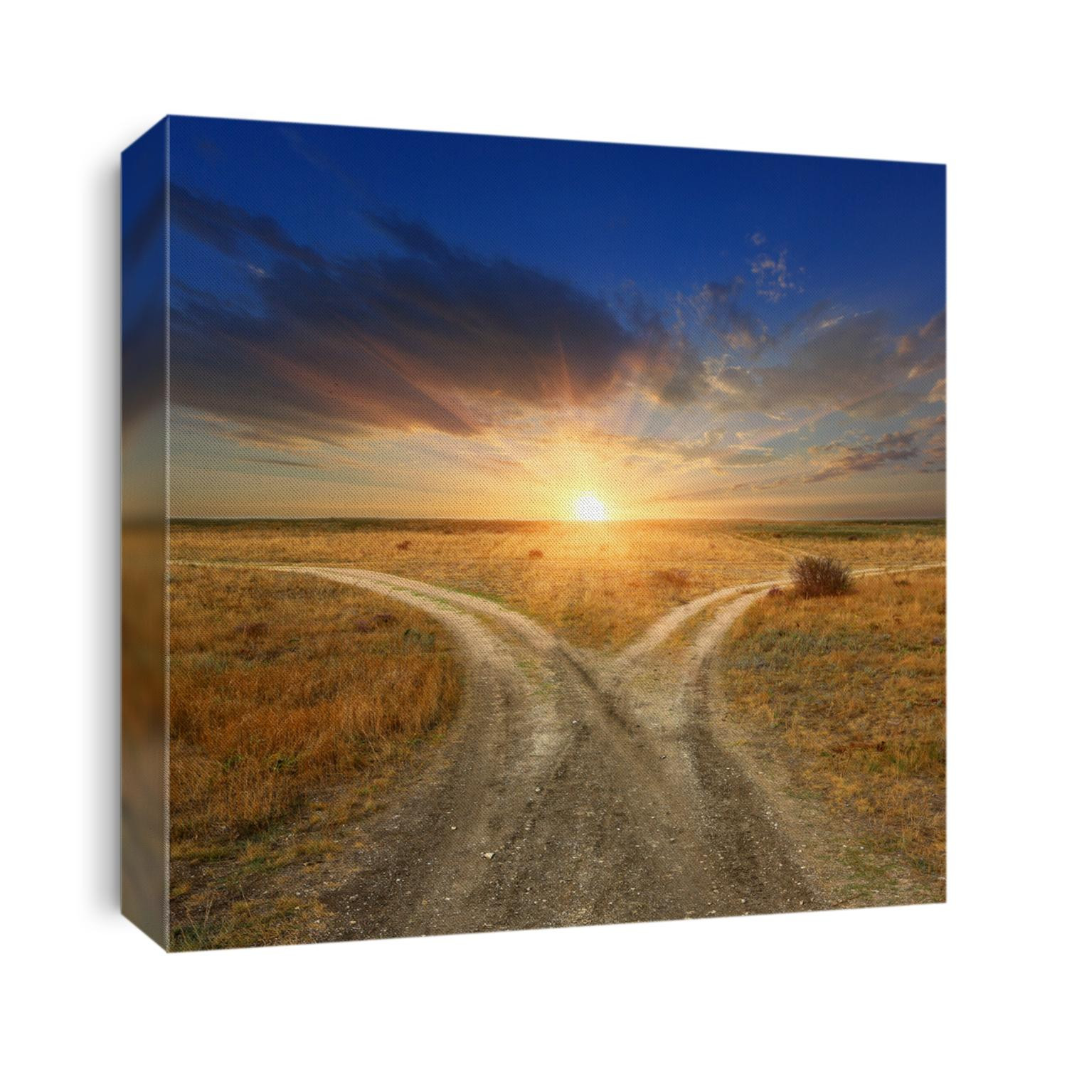 Fork roads in steppe on sunset background
