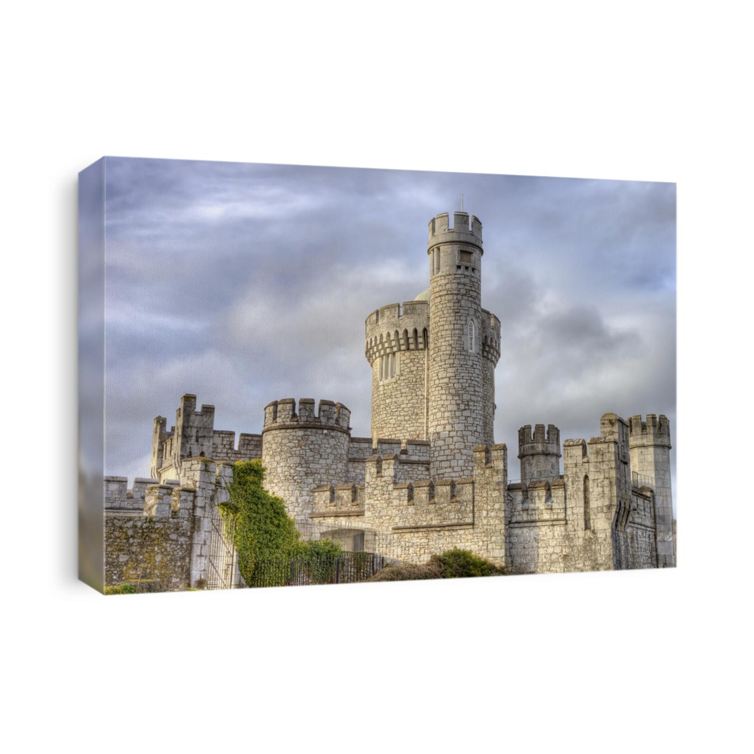 Blackrock castle in Cork city, Ireland.