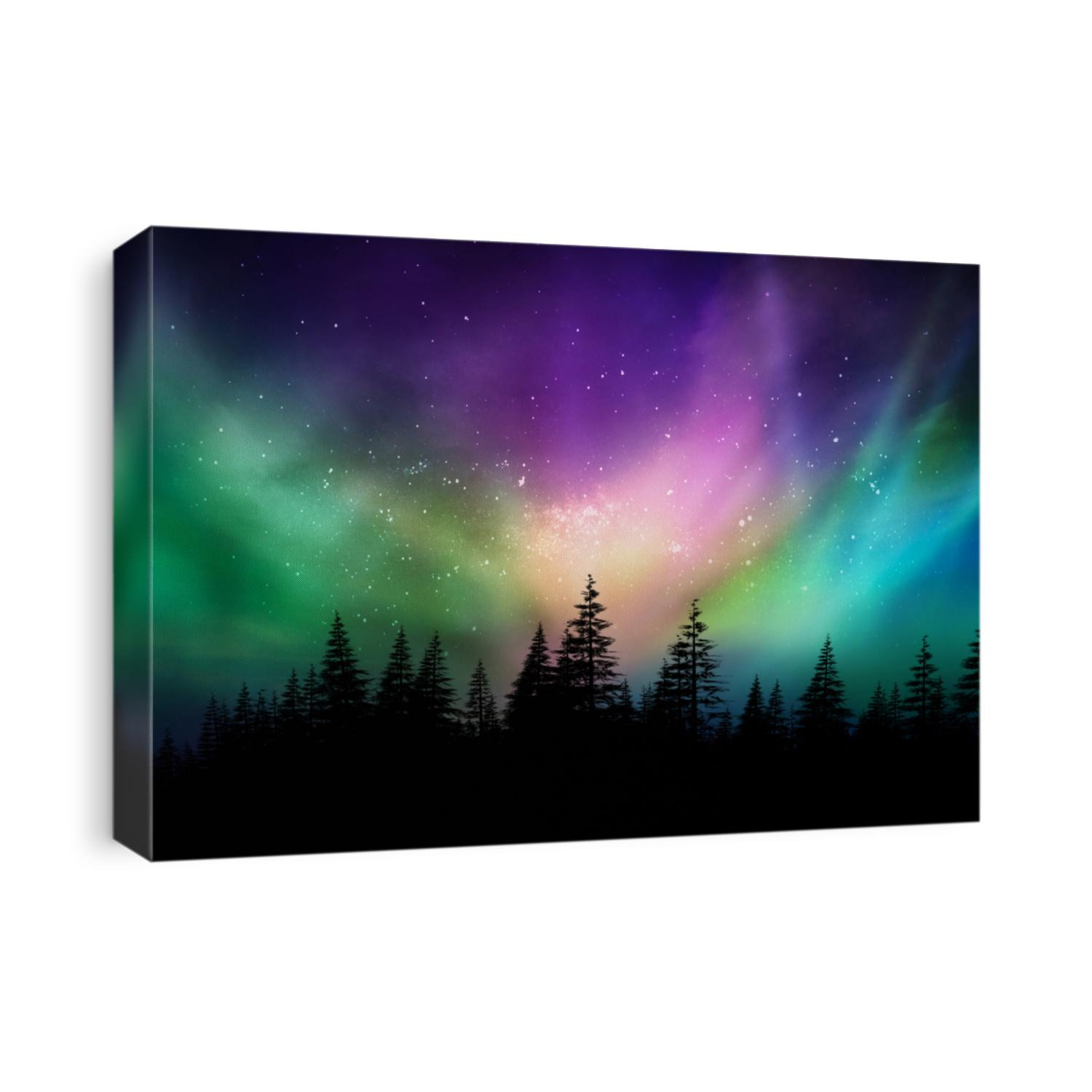 Multicolored northern lights (Aurora borealis) on Canadian forest                               