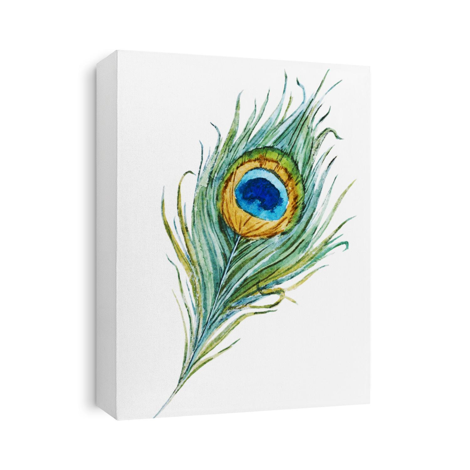 watercolor, drawing, spot, feathers, peacock