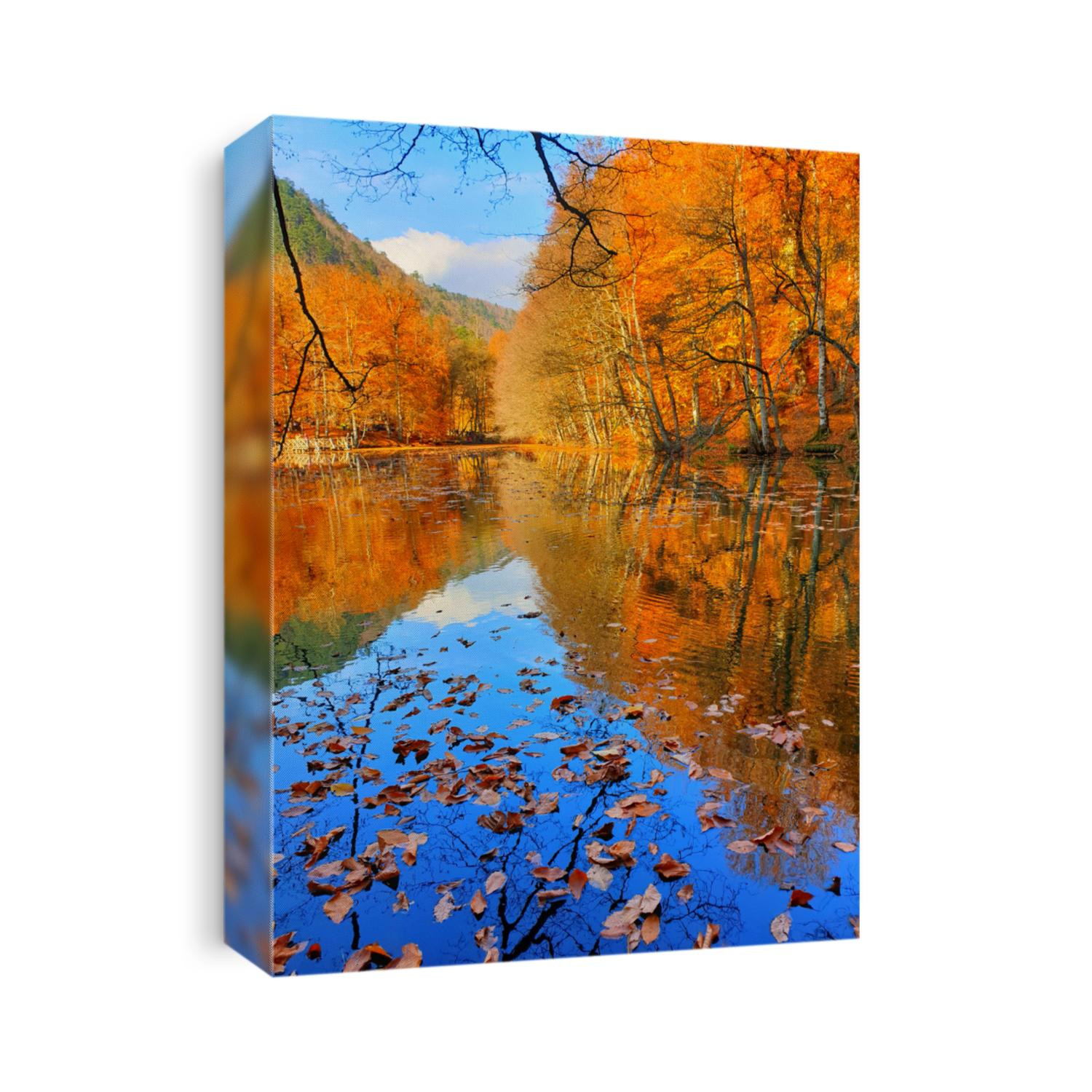 Colourful autumn leaves on lake surface / Yedigoller (Seven Lakes) National Park in November