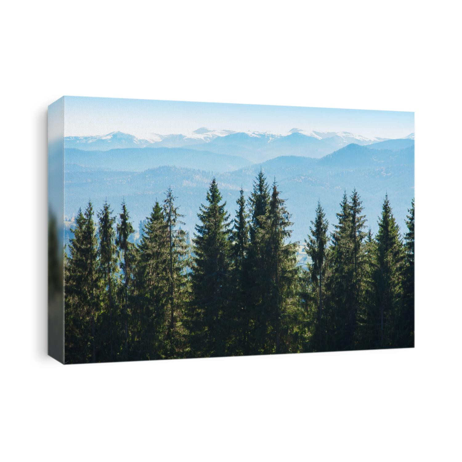 Picturesque mountain panoramic landscape with fir trees and mountain tops on a clear day.