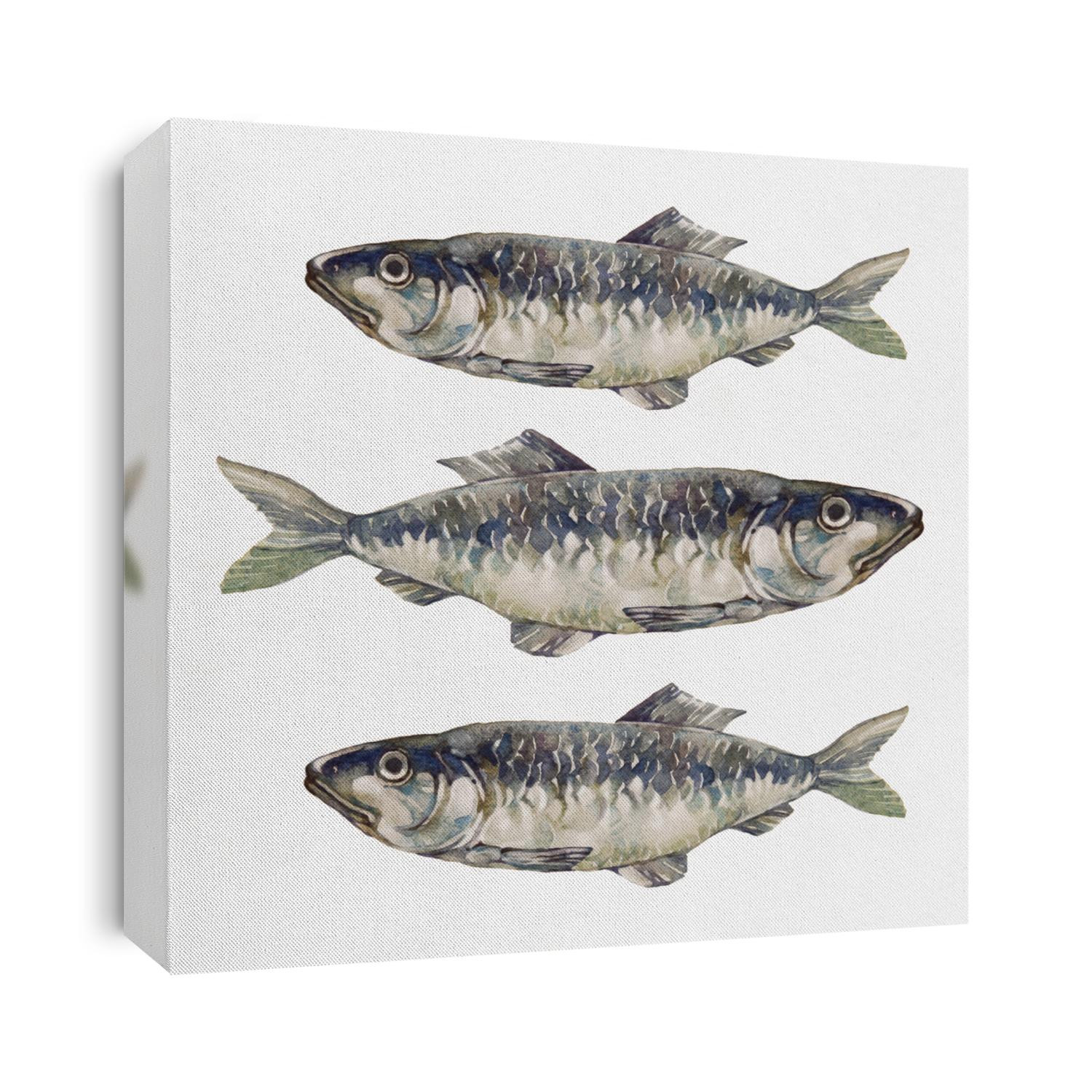 Herring fish. Watercolor painting on white background.