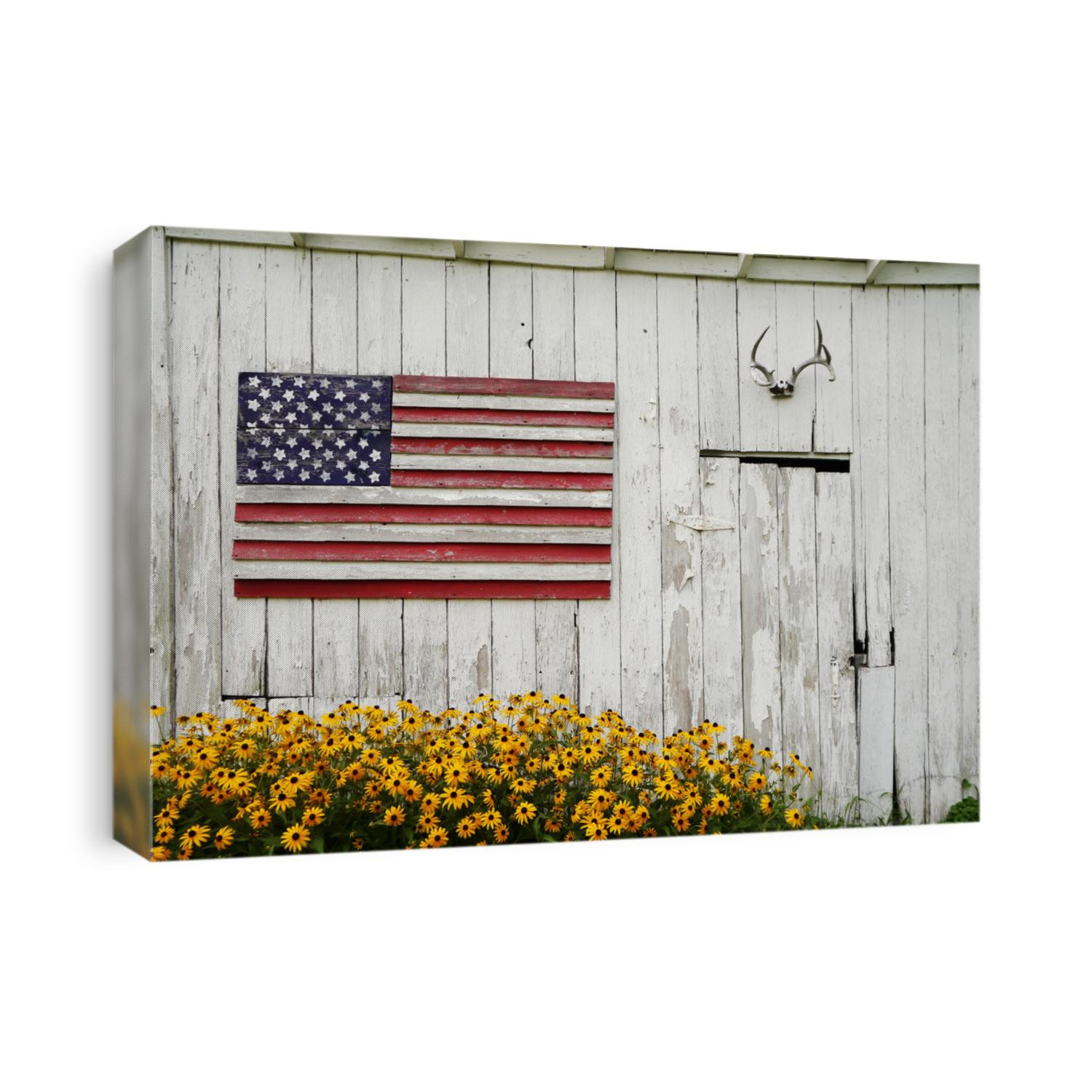 A painted wooden american flag, deer antlers, and a beautiful brown-eyed susan flowers in an old shed