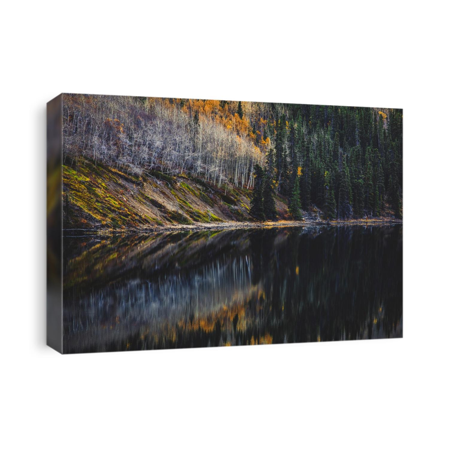 Fall Reflections in the Yukon Territory, Canada